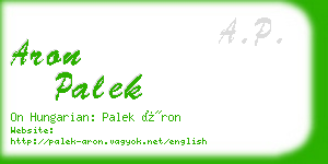 aron palek business card